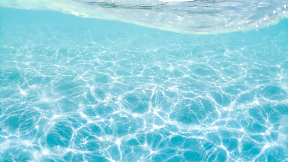 Prevent Algae Growth